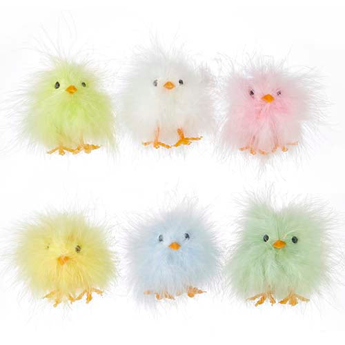 Fluffy Chicks