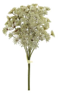 Cream Yarrow Pick Bundle