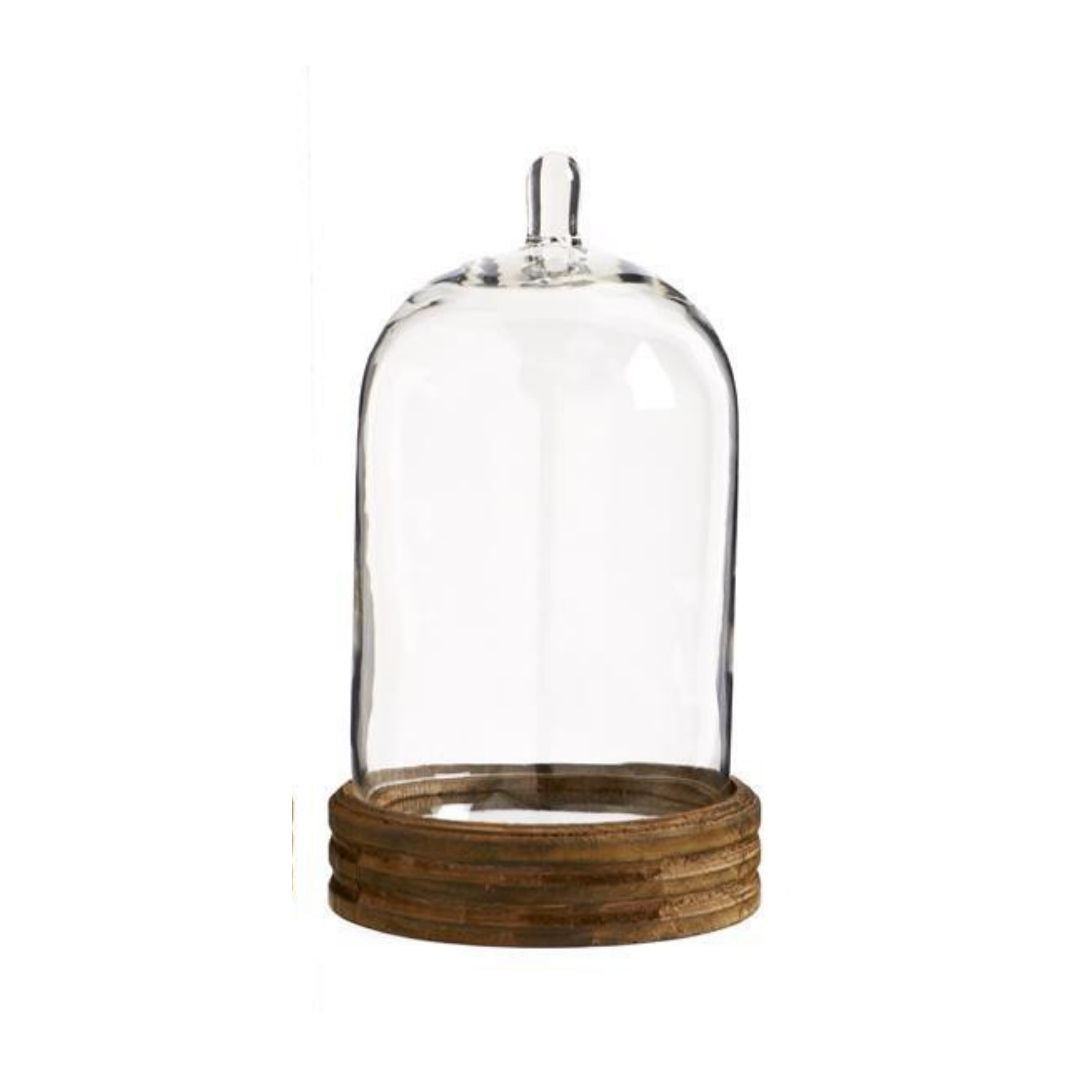 Glass Cloche with Knob Top on Round Wood Mirror Base Md