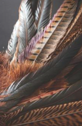 Lady Amethyst Pheasant Feather
