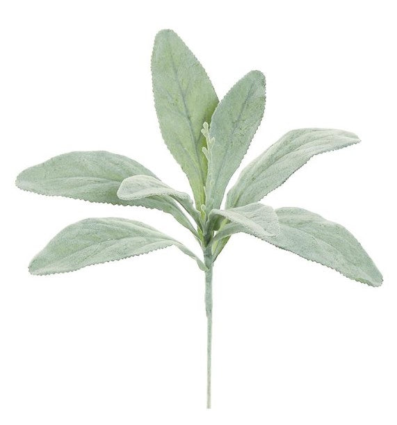 Lamb's Ear Pick