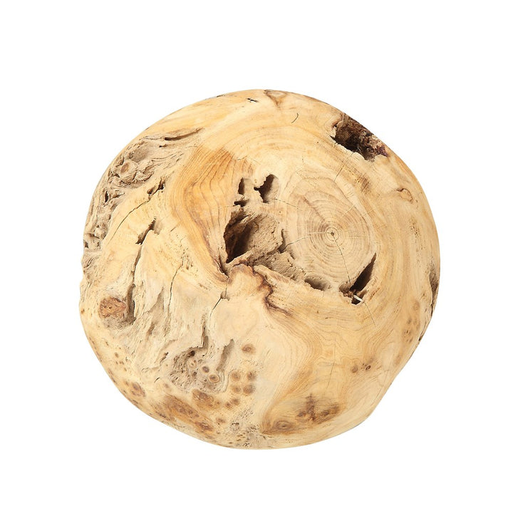 6" Fir Root Orb