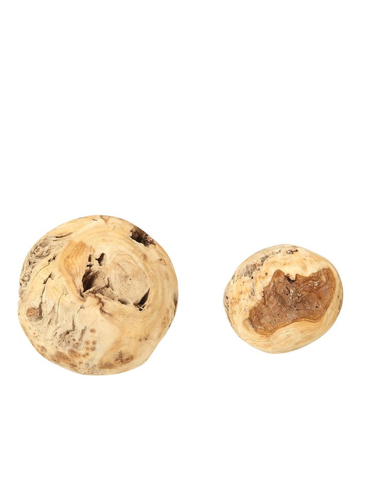 6" Fir Root Orb