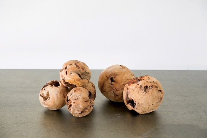 6" Fir Root Orb