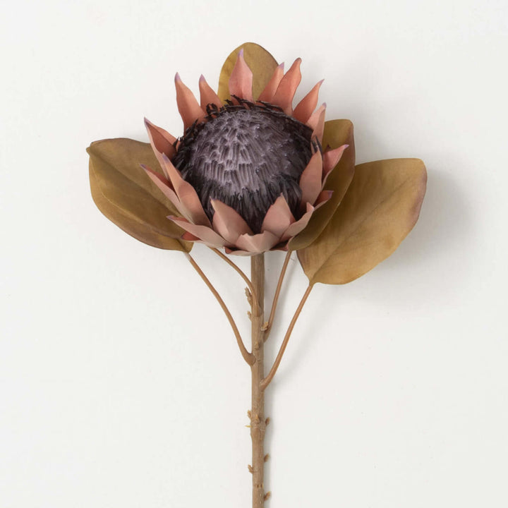 Blush Faux Dried Protea Stem