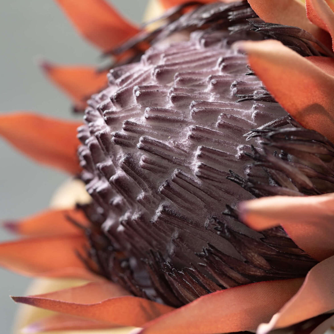 Blush Faux Dried Protea Stem