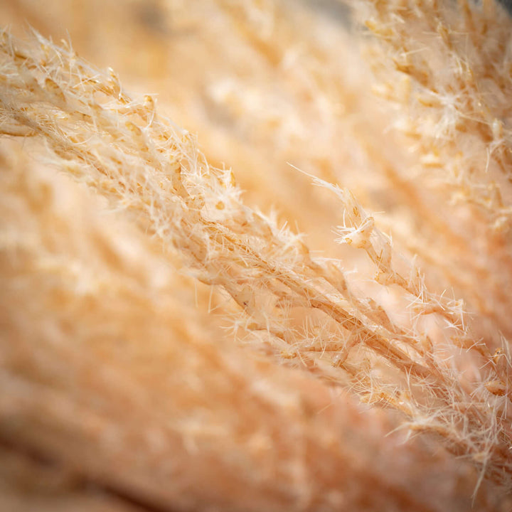 Faux Dried Reed Stem