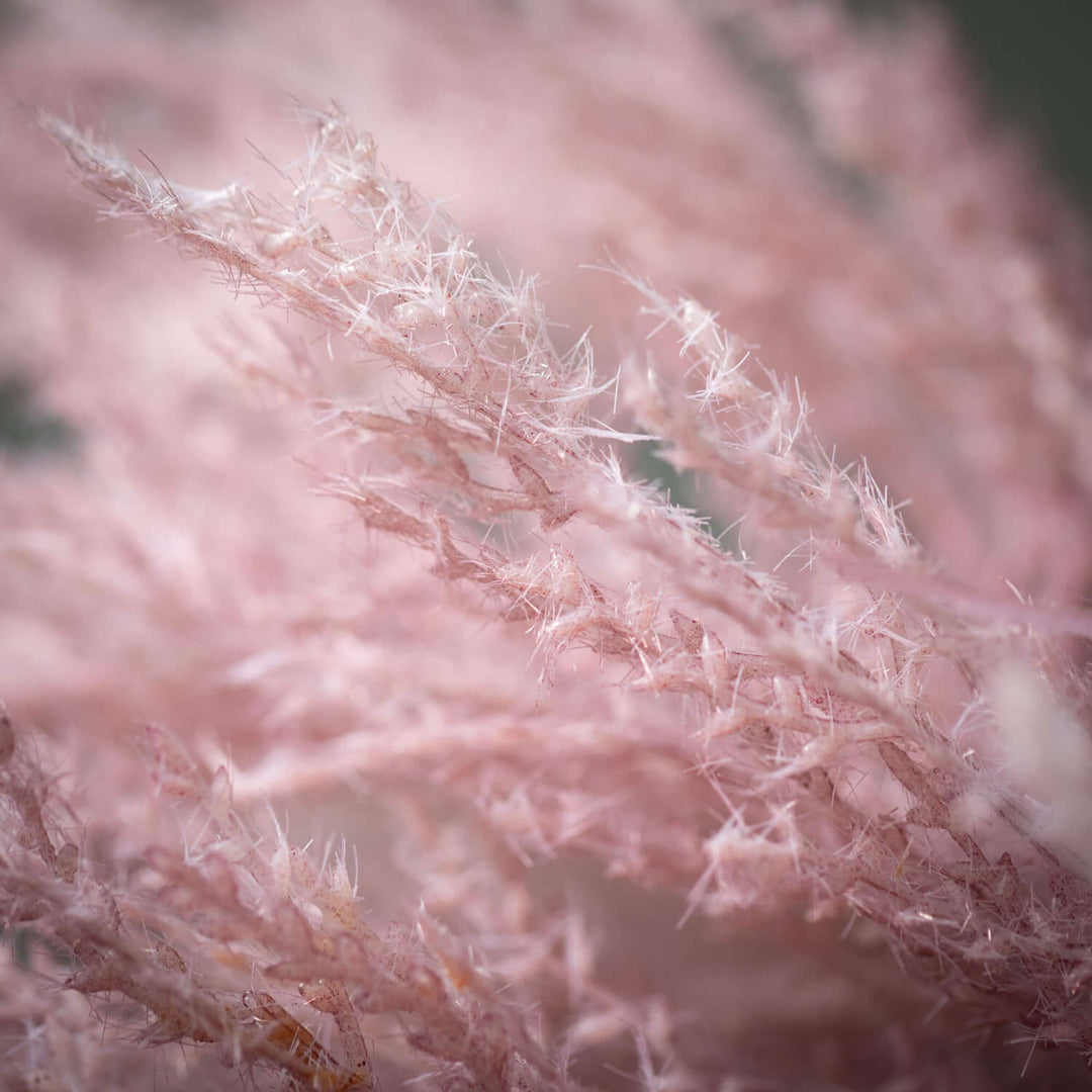 Faux Dried Reed Stem