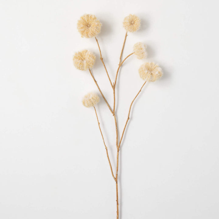 Faux Dried Cream Pods