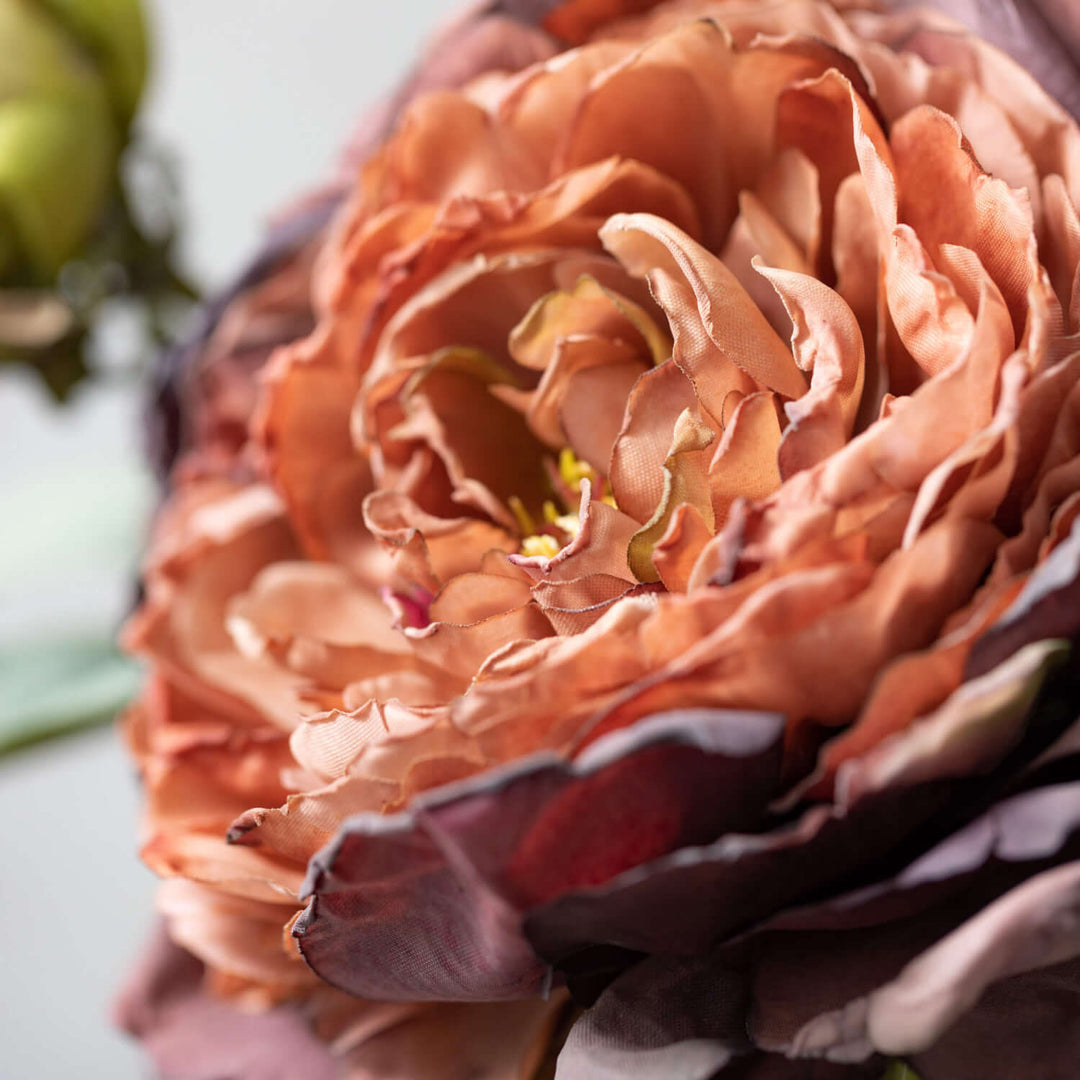 Purple Dried Peony Stem