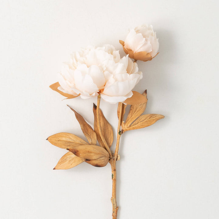 Cream Blooming Peony Spray