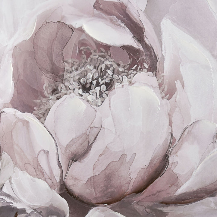 Petal Study Framed Wall Art