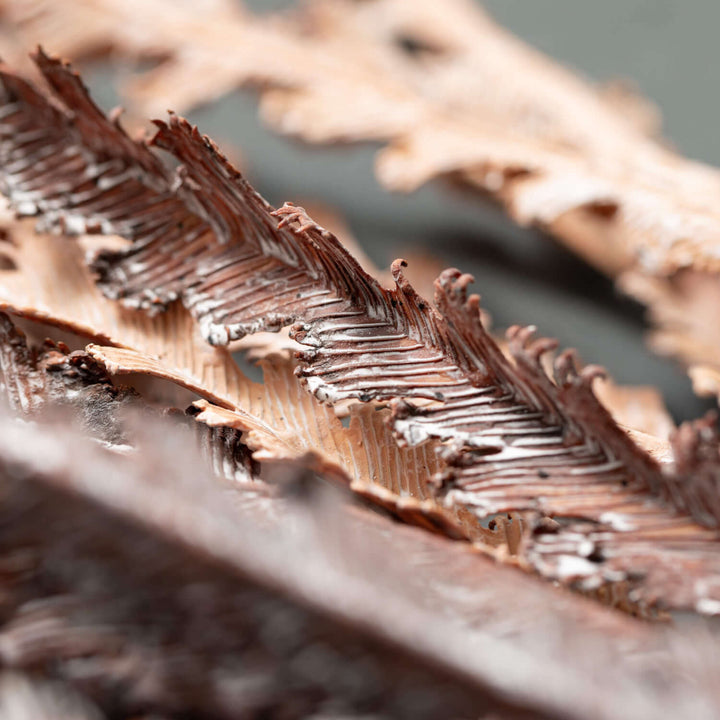 Faux Dried Fern Bush